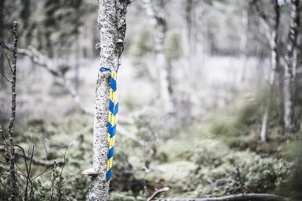 Skogscertifiering för ett hållbart skogsbruk